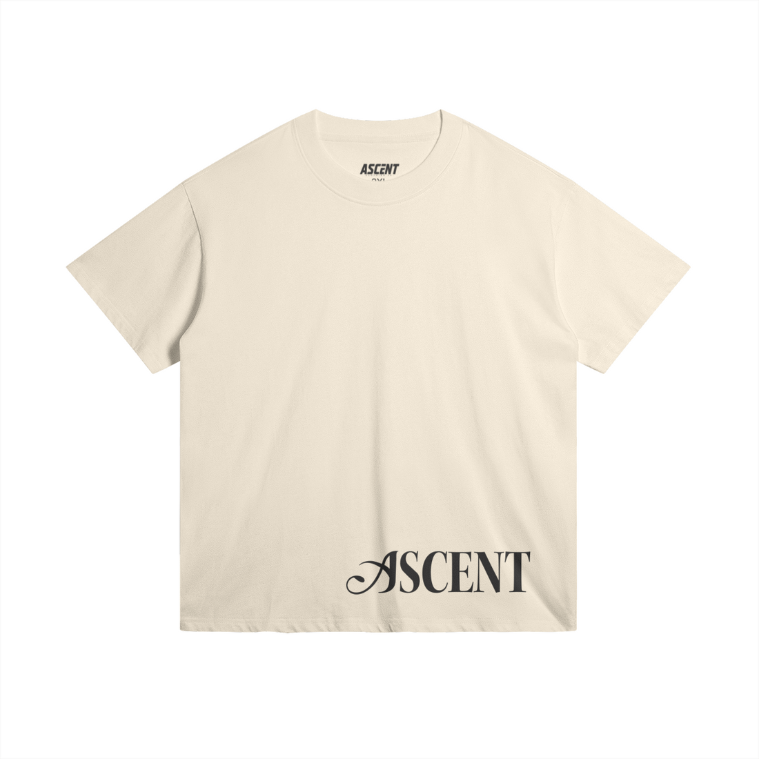0-YBJ-Back Side